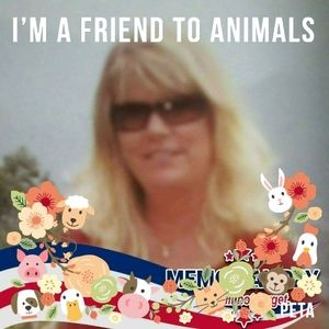 Meet your Posher, Ginne